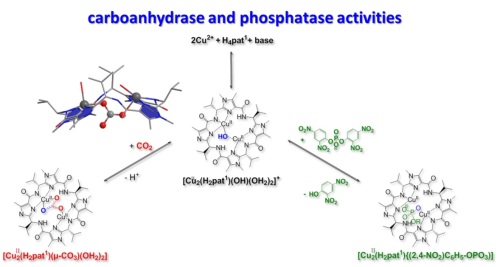 research_picture6