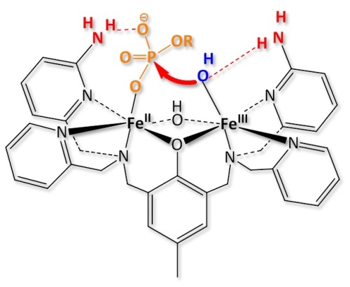 research_picture7