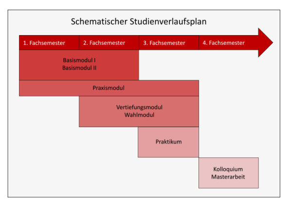 Studienverlauf Schematisch 1