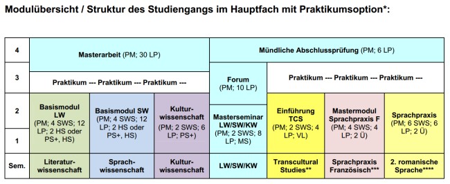 Master Transkulturelle Studien Modulübersicht Hauptfach+Praktikum