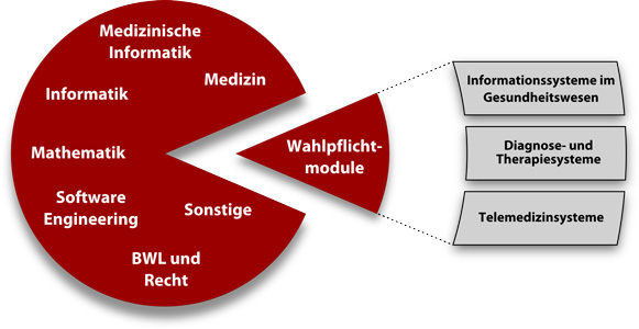 Grafik zu Studieninhalten der Medizinischen Informatik