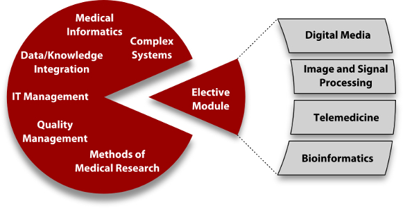 Figure with contents of the subject Medical Informatics