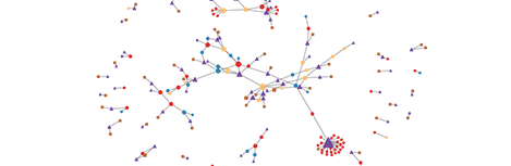 Fälschungen und Netzwerke (ForNet)