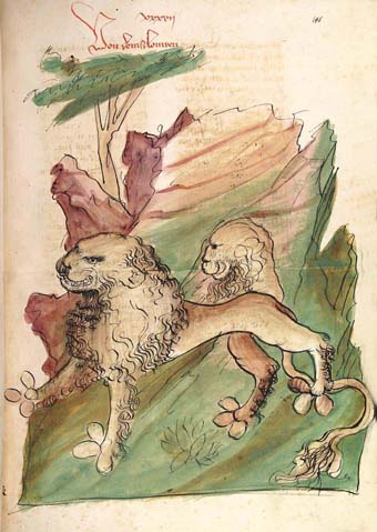 Konrad von Megenberg, Buch der Natur, Der Löwe. Heidelberg, Universitätsbibliothek, Cod. Pal. germ. 300, fol. 101r. 